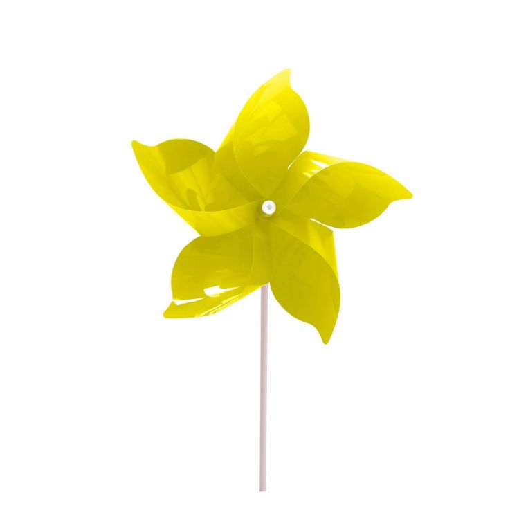 Picture of Five-leaf Pinwheel