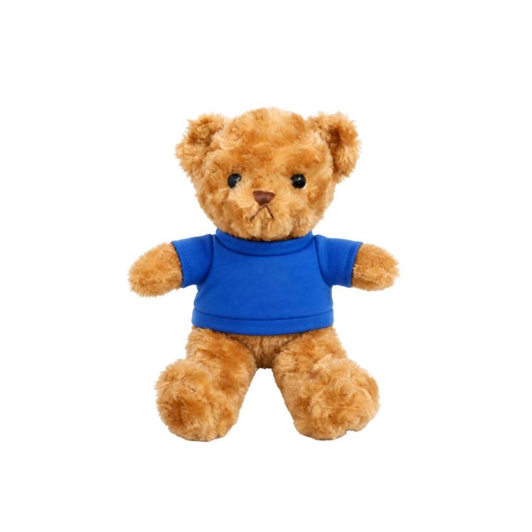 Picture of T-shirt Bear Plush Toy