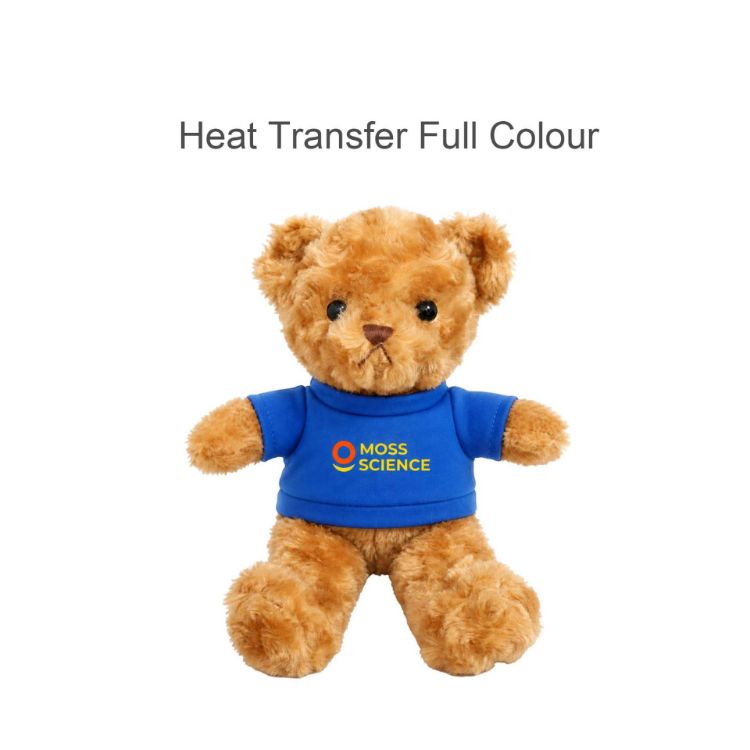 Picture of T-shirt Bear Plush Toy