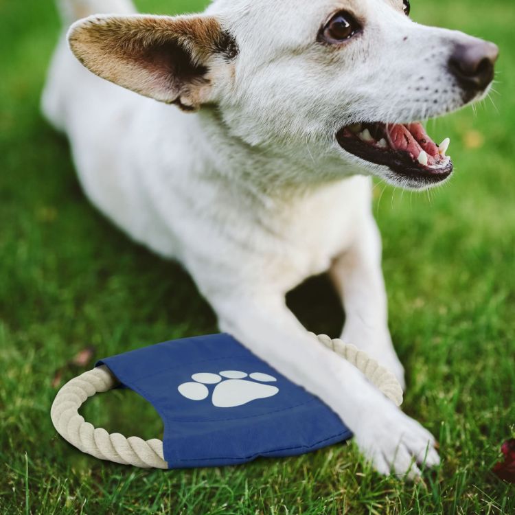 Picture of Rope Frisbee Dog Toy