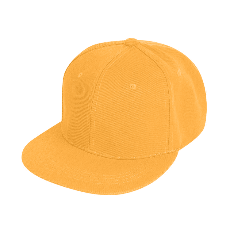 Picture of 6 Panel Trucker Cap
