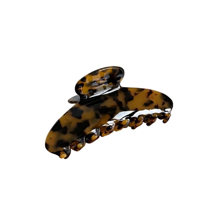 Picture of Acetate Hair Clips B