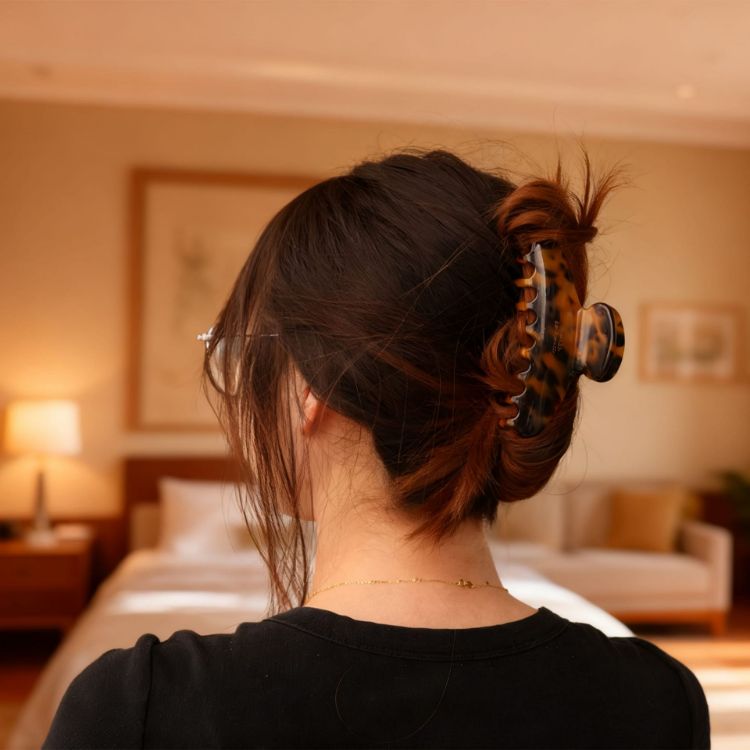 Picture of Acetate Hair Clips B