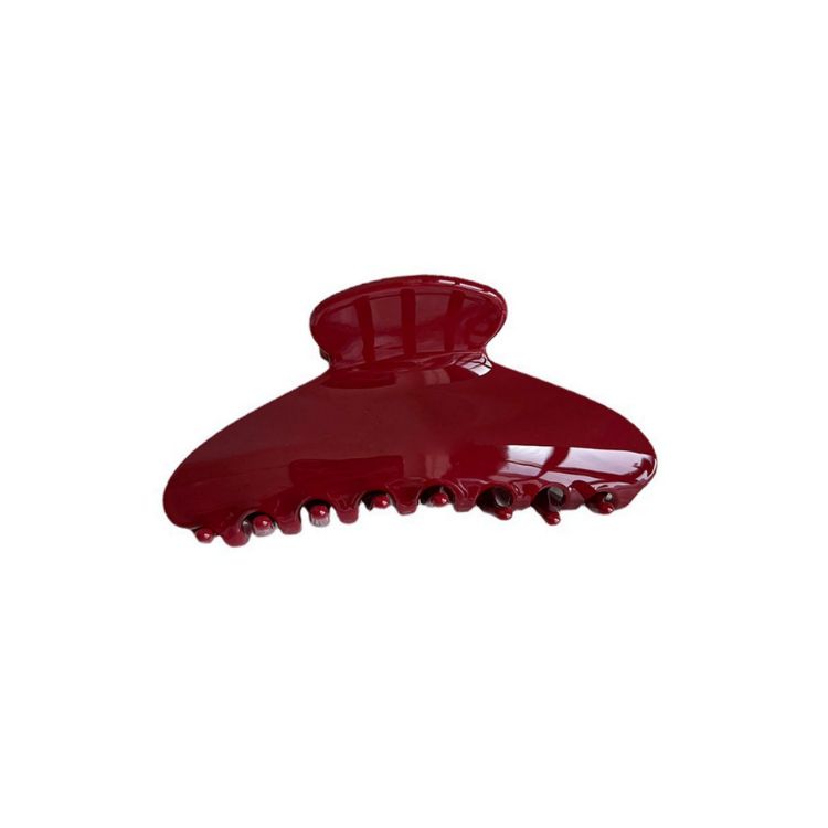 Picture of Acetate Hair Clips A