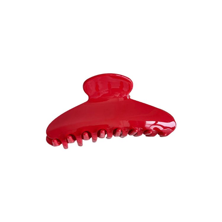 Picture of Acetate Hair Clips A