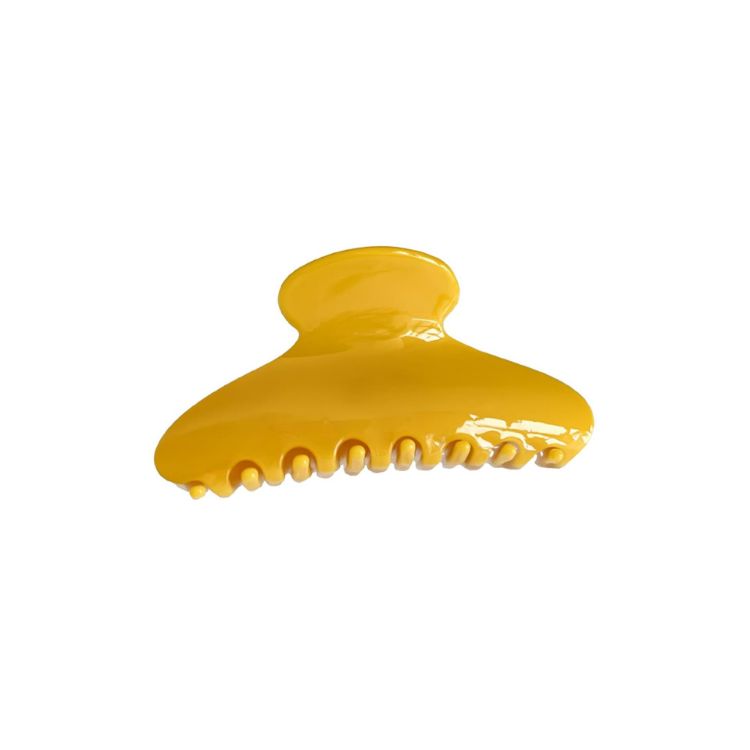 Picture of Acetate Hair Clips A