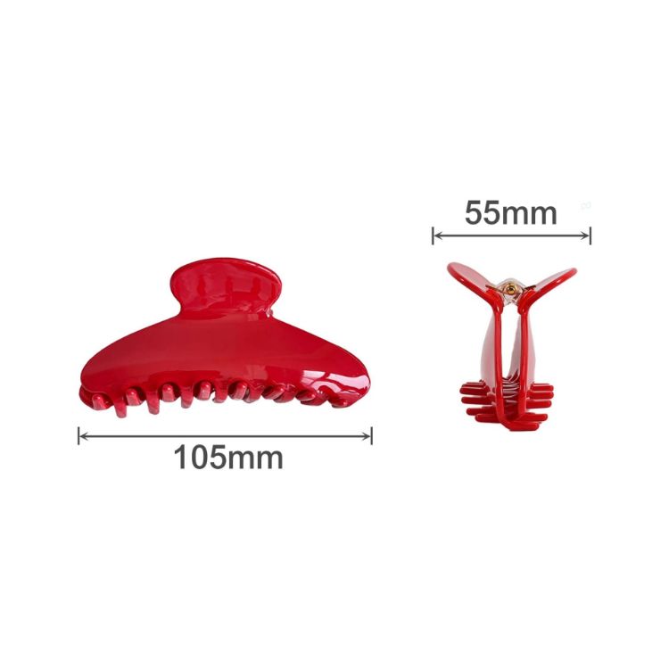 Picture of Acetate Hair Clips A