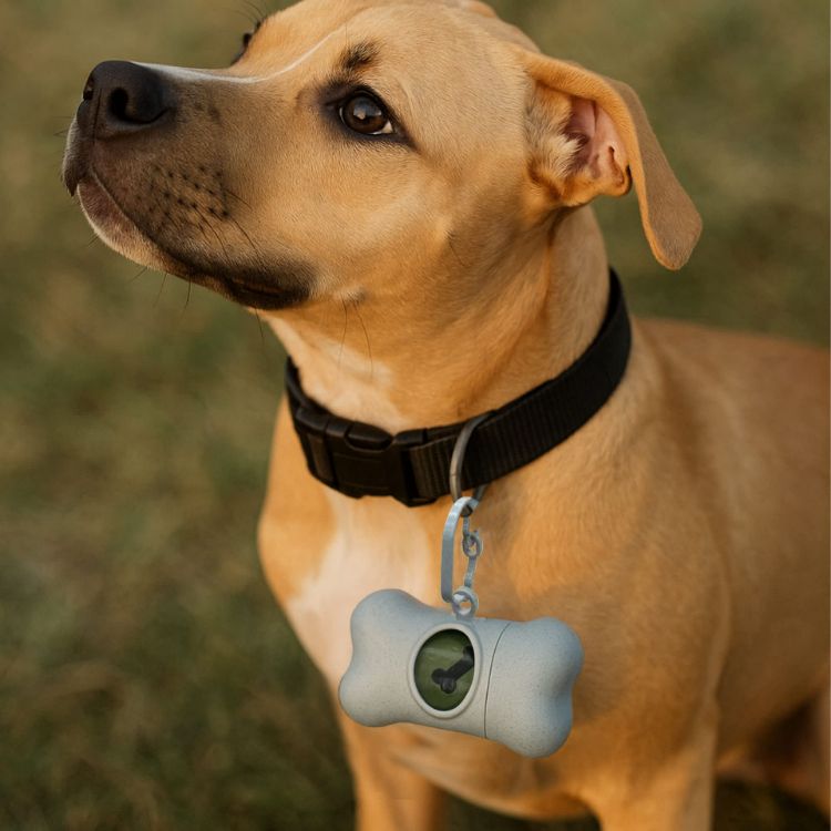 Picture of Eco Bone Shape Pet Wastebag Dispenser