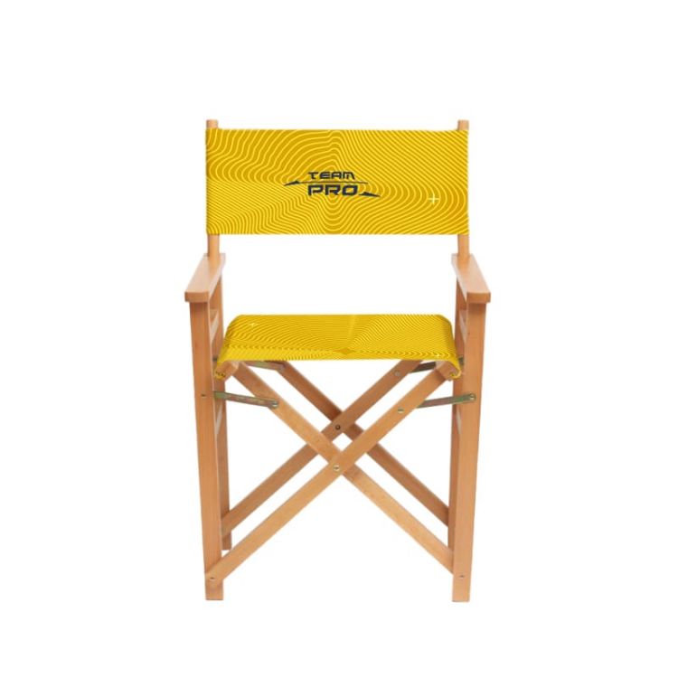 Picture of Director's Chair