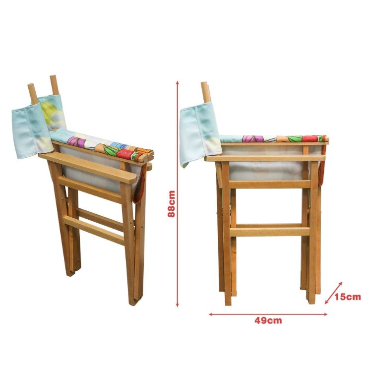 Picture of Director's Chair