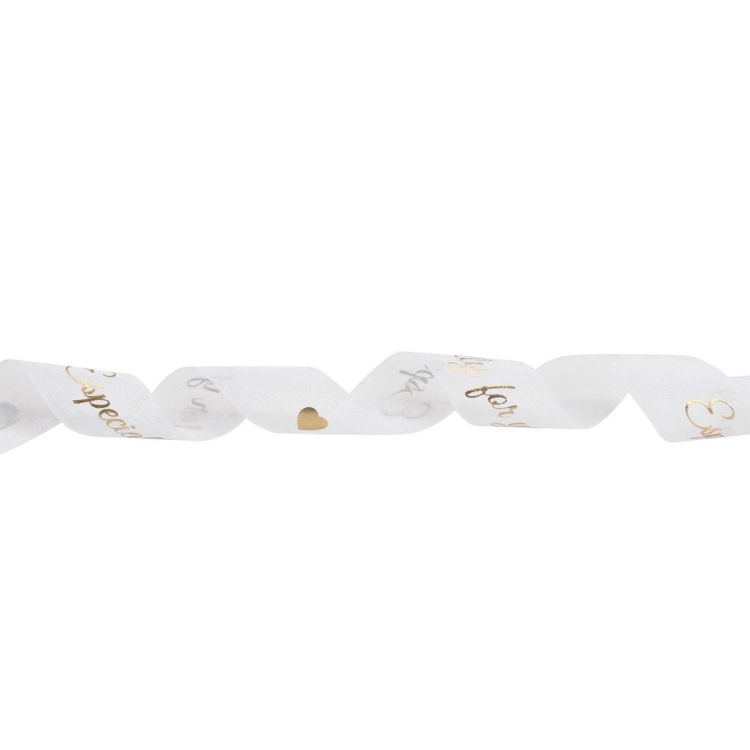 Picture of 19mm Organza Ribbon