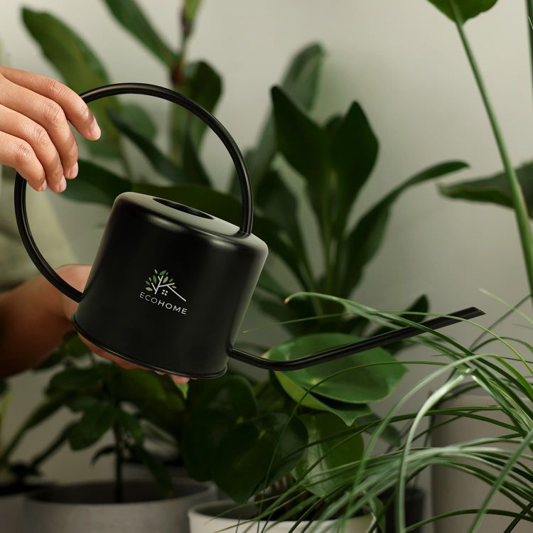 Picture of Keepsake Watering Can
