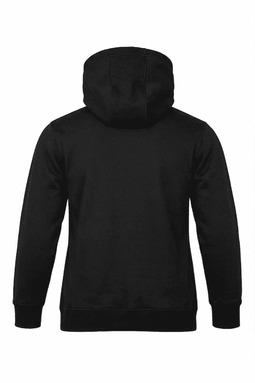 Picture of BRONTE MENS HOODIES
