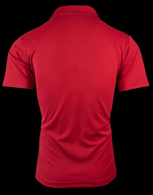 Picture of PATERSON MENS POLOS