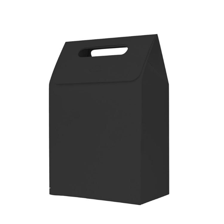 Picture of Die cut Handle Bag(100x160x60mm)