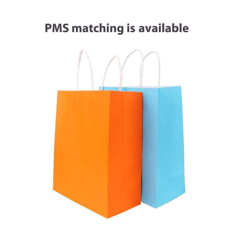 Picture of Twisted Handle Kraft Paper Bag(260x330x120mm)
