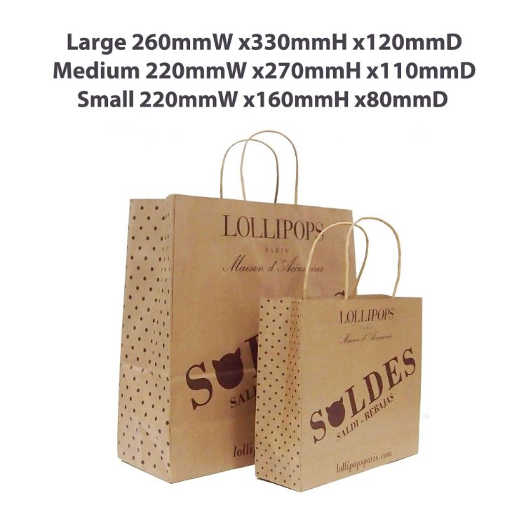 Picture of Twisted Handle Kraft Paper Bag(260x330x120mm)