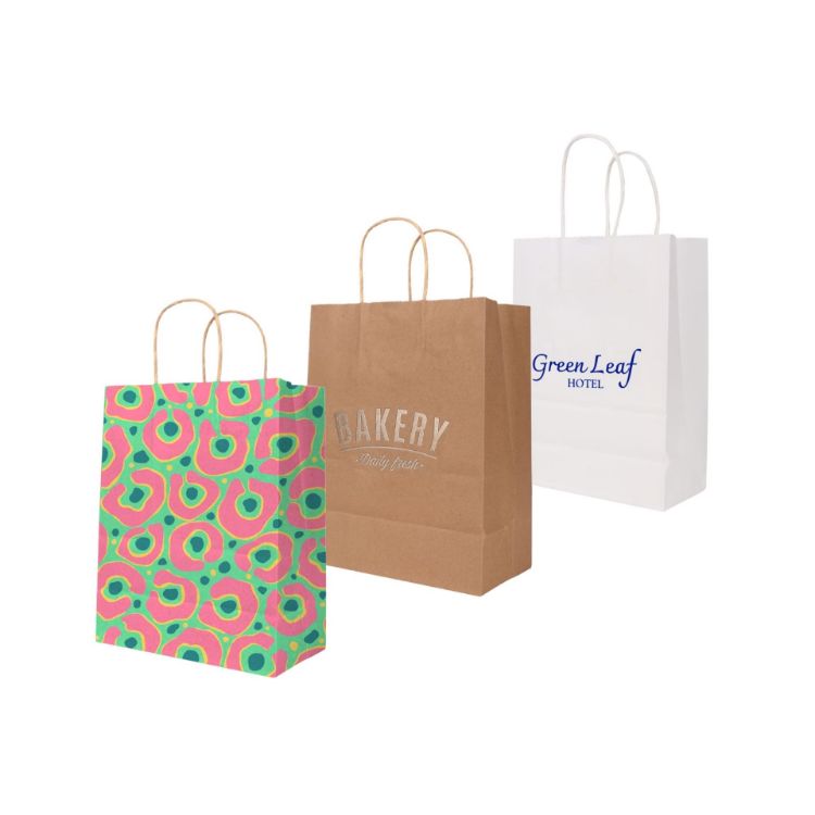 Picture of Twisted Handle Kraft Paper Bag(220x270x110mm)