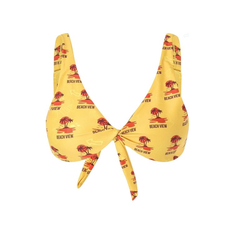 Picture of Women's Polyester Spandex Sublimated Bikini top