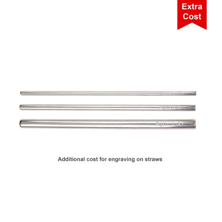 Picture of ECO Straw Set