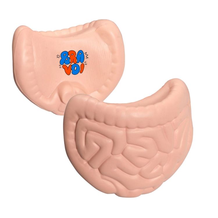 Picture of Intestines Shape Stress Reliever