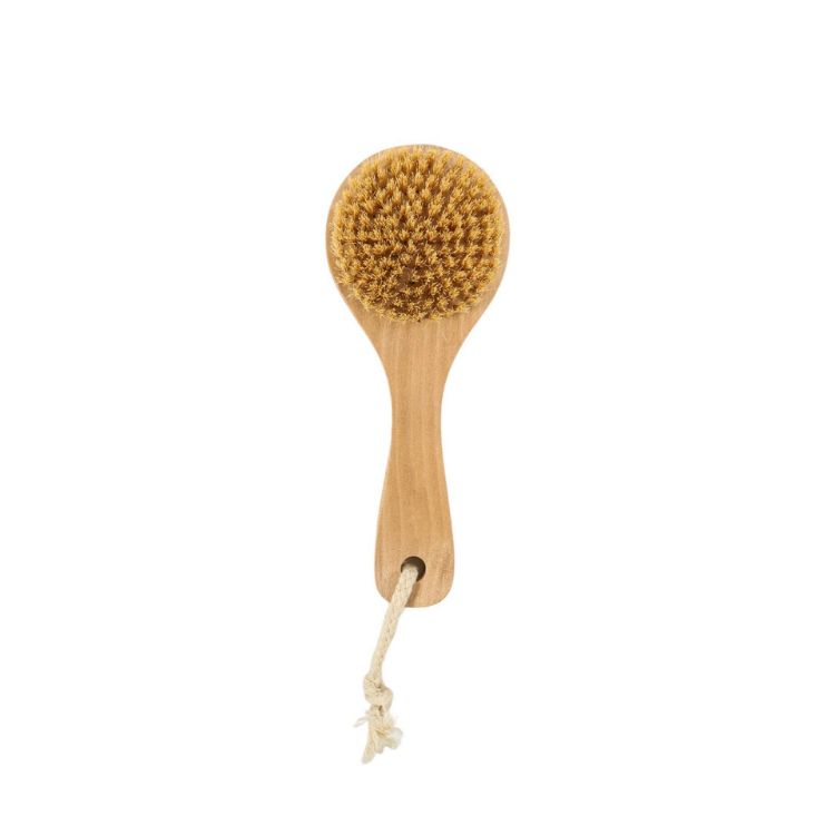 Picture of Round Body Brush with Short Handle