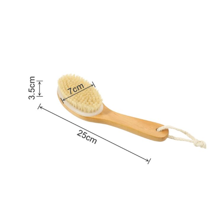 Picture of Dry Brushing Body Brush