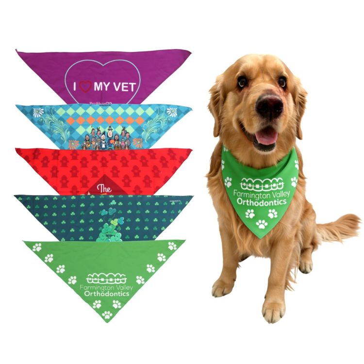 Picture of Triangle Pet Bandana