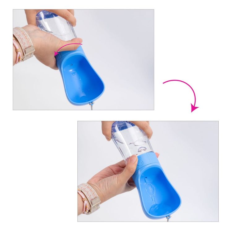 Picture of Pet Water Bottle with Food Container