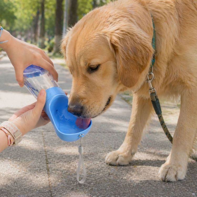 Picture of Pet Water Bottle with Food Container