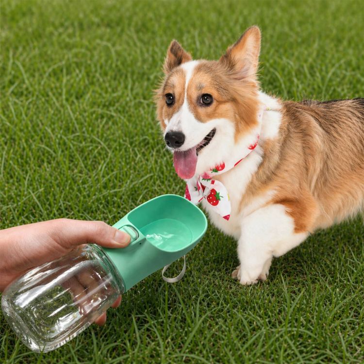 Picture of 300ml Portable Pet Water Bottle
