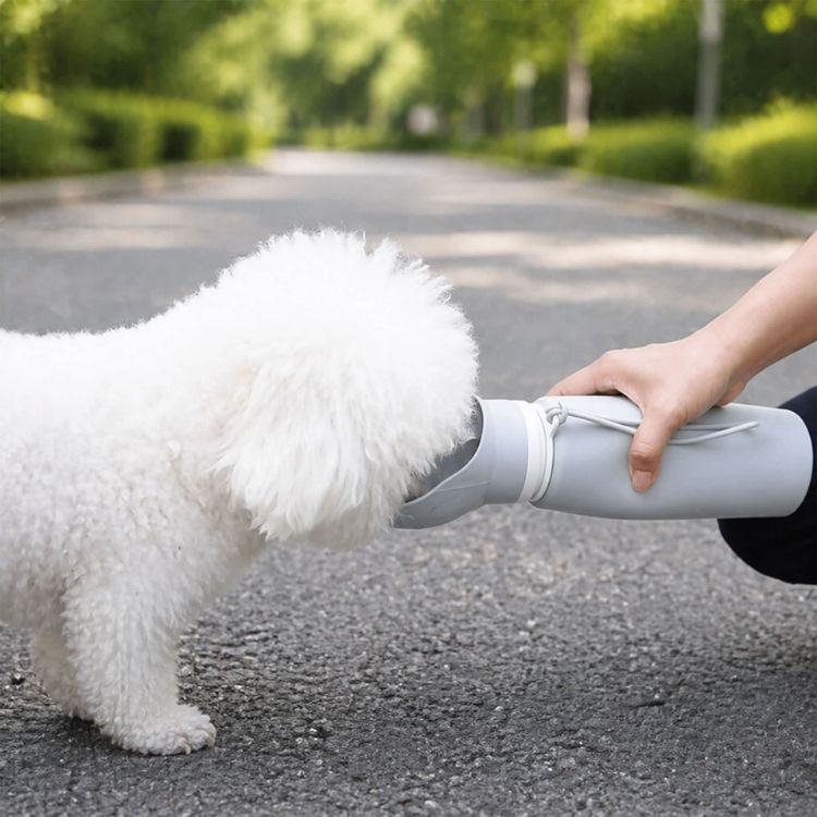 Picture of 550ml Paw Bowl Collapsible Dog Water Bottle