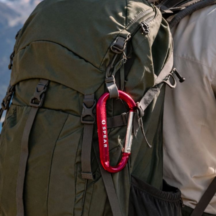 Picture of 6cm Carabiner