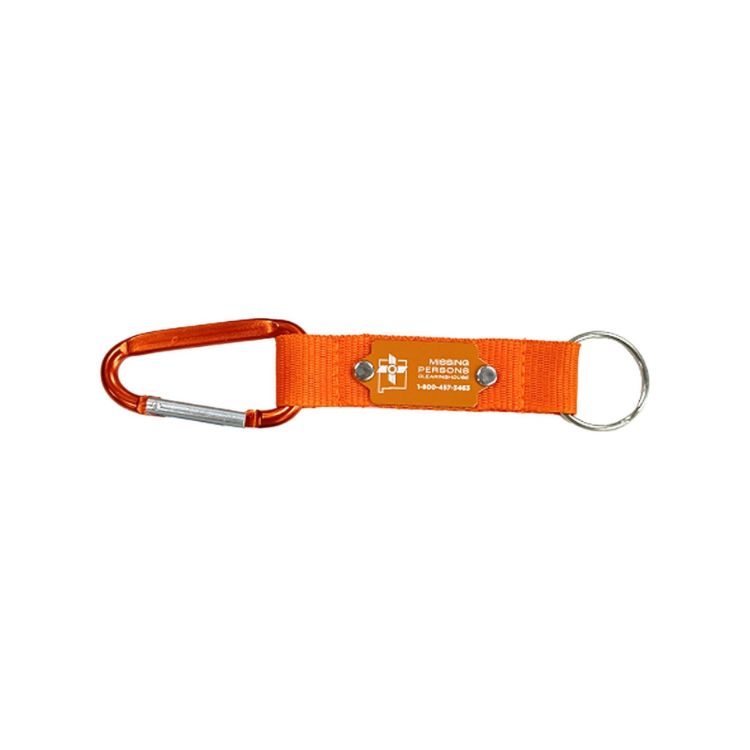 Picture of Carabiner Keyring