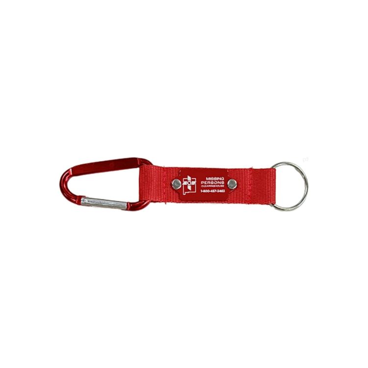 Picture of Carabiner Keyring
