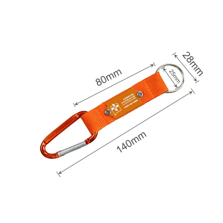 Picture of Carabiner Keyring