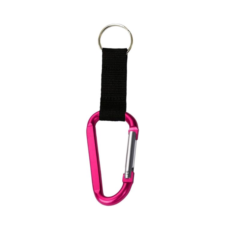 Picture of Carabiner Keychain