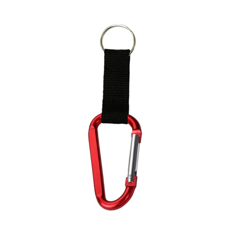 Picture of Carabiner Keychain