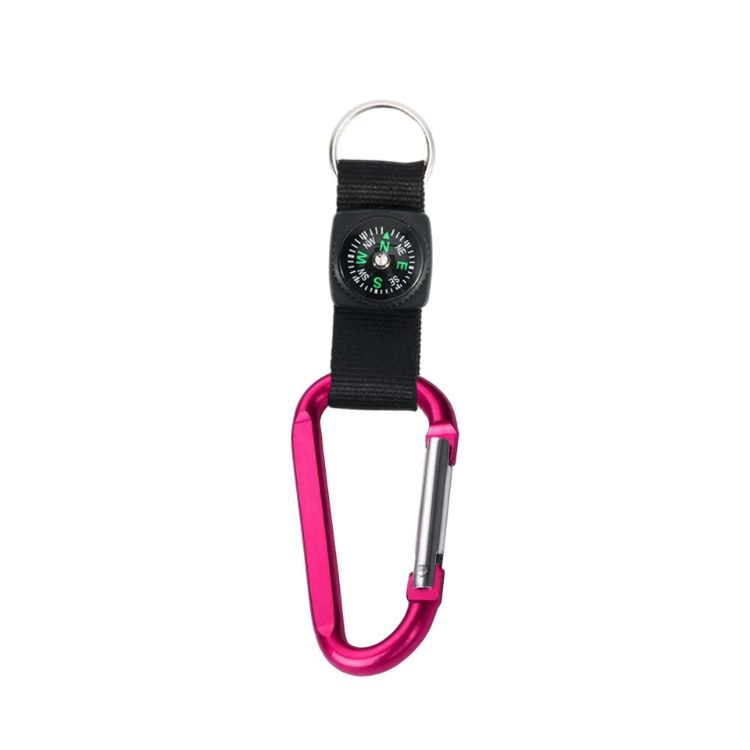 Picture of Carabiner with Compass Keychain