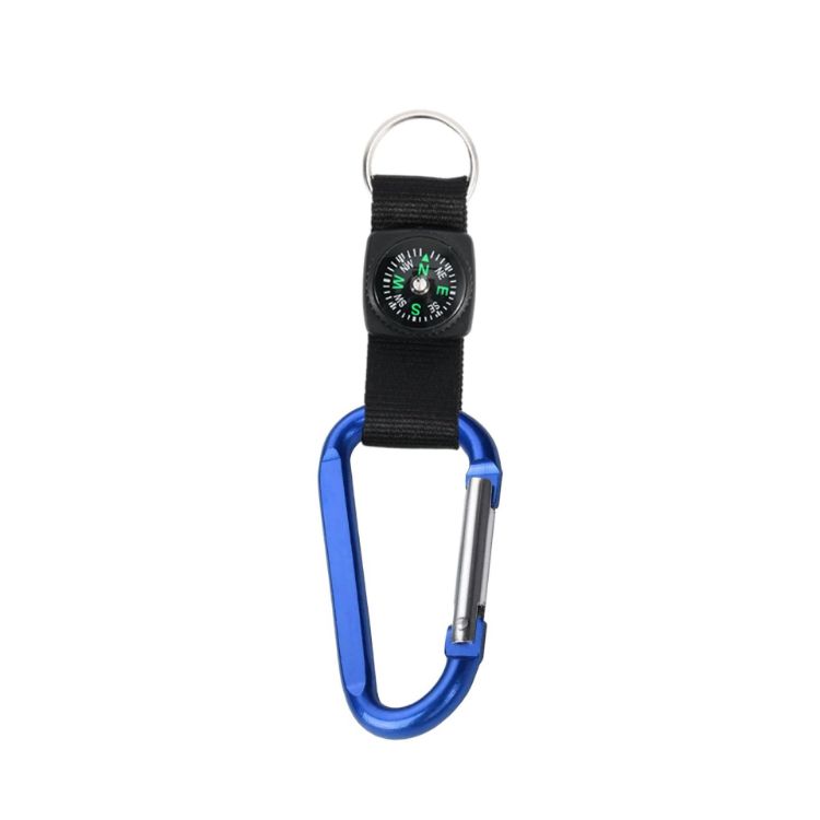 Picture of Carabiner with Compass Keychain