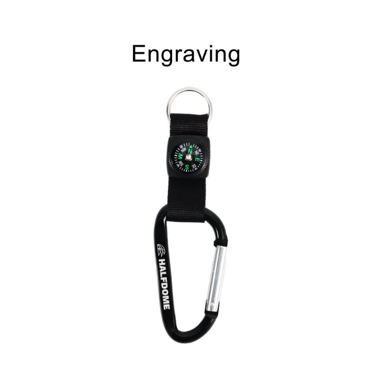 Picture of Carabiner with Compass Keychain