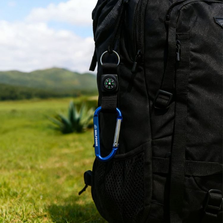 Picture of Carabiner with Compass Keychain