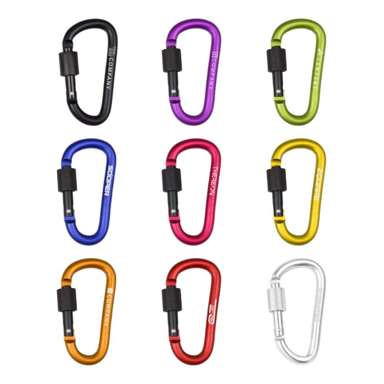 Picture of D-Shaped Screw Lock Keychain
