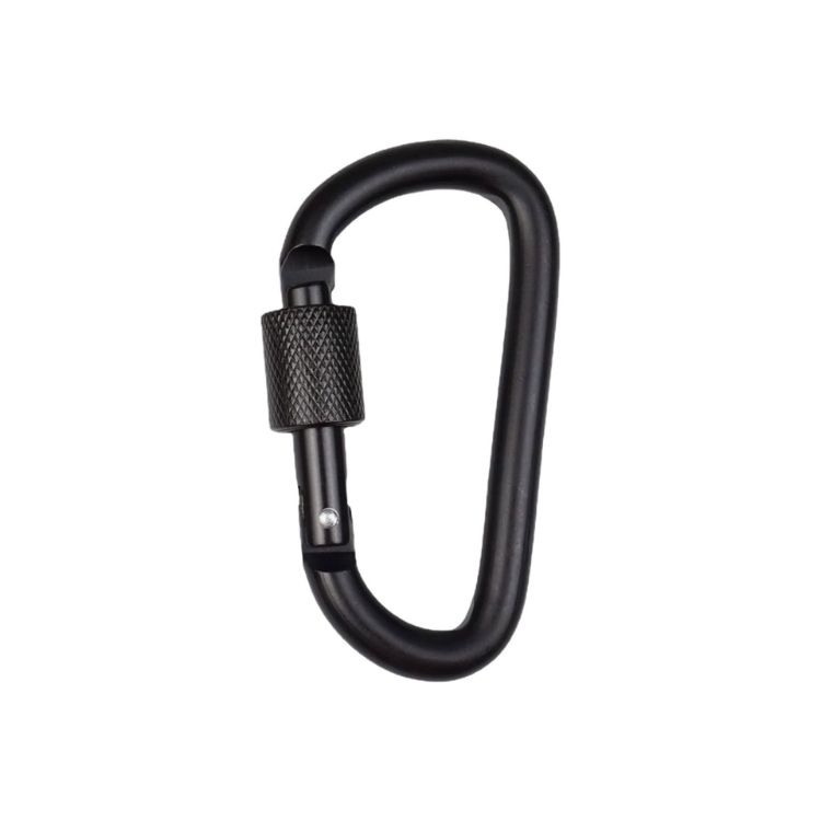 Picture of D-Shaped Screw Lock Keychain