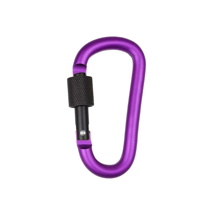 Picture of D-Shaped Screw Lock Keychain
