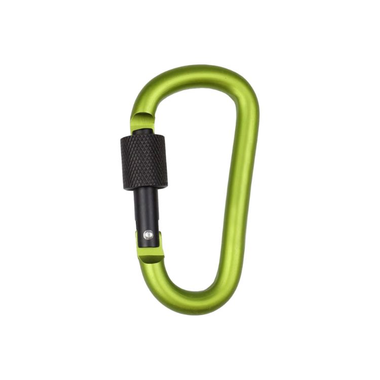Picture of D-Shaped Screw Lock Keychain