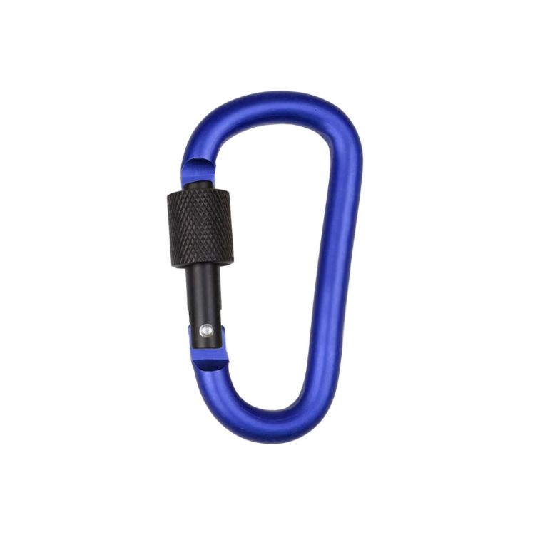 Picture of D-Shaped Screw Lock Keychain