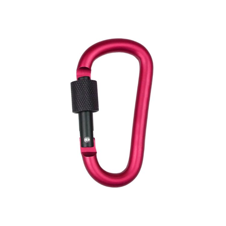 Picture of D-Shaped Screw Lock Keychain