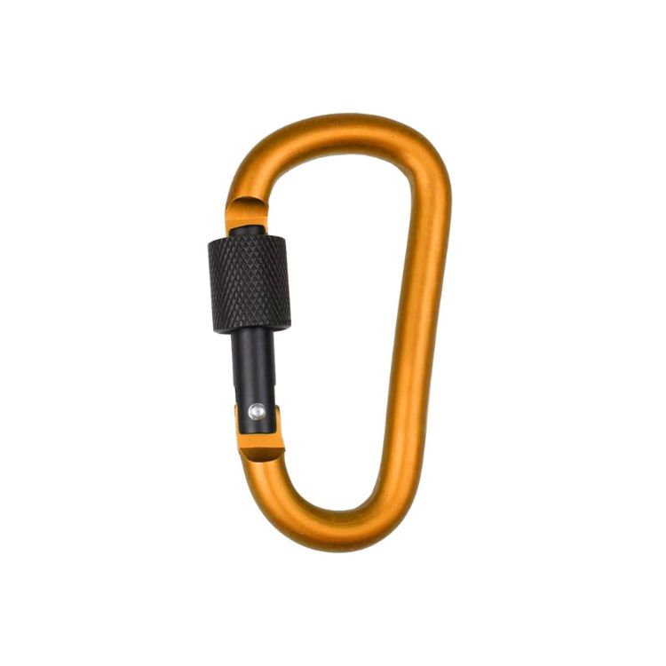 Picture of D-Shaped Screw Lock Keychain