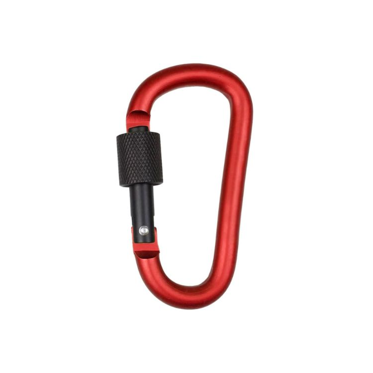 Picture of D-Shaped Screw Lock Keychain